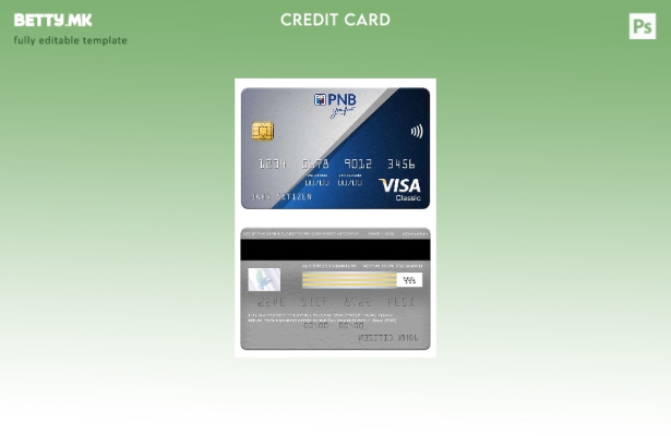 Модерен стил Шаблон за класична виза на Филипинската Народна банка (PNB).